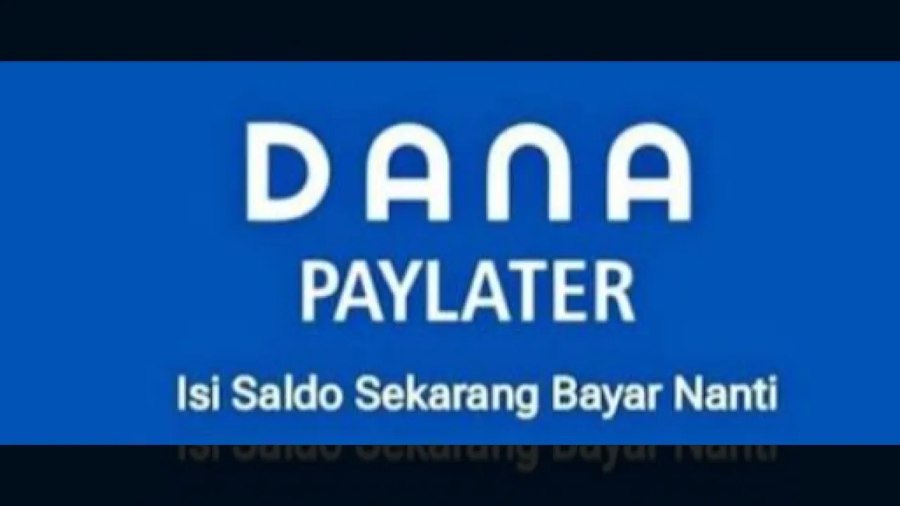 Membedah DANA PayLater